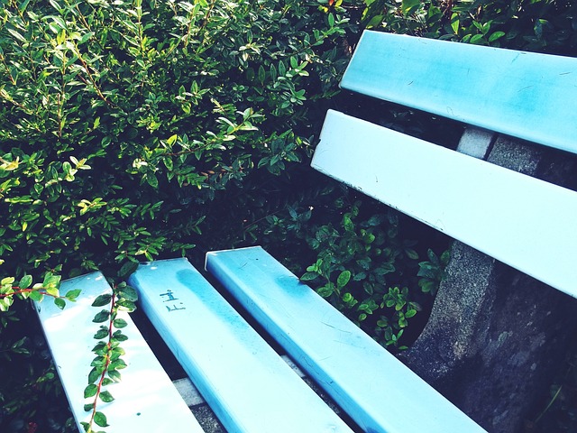 旺财28.com：球迷态度：杨立瑜禁区内倒地，马宁判罚点球是否合理？.